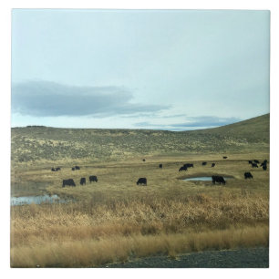 Condado de Baker Rural, Oregon