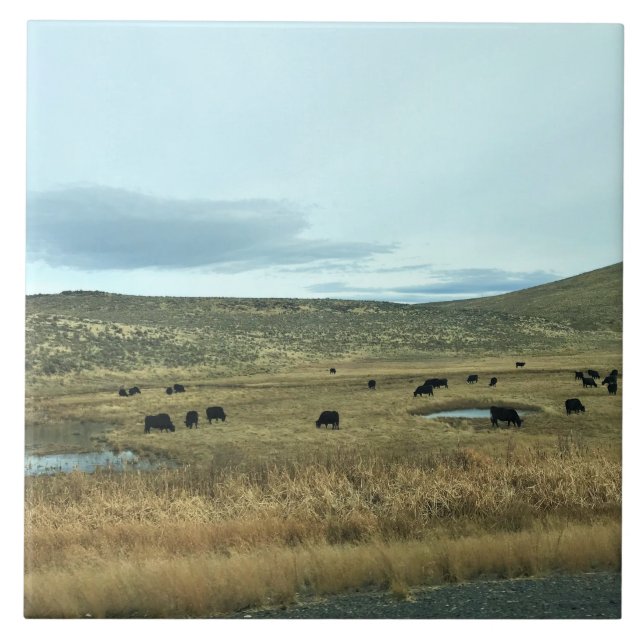 Condado de Baker Rural, Oregon (Frente)