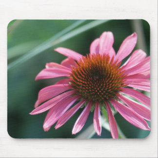 Coneflower roxo Mousepad