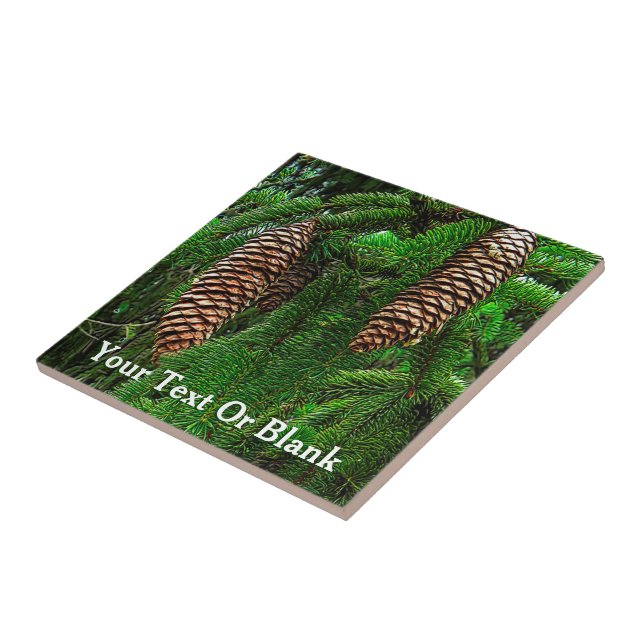 Cones E Agulhas (Lateral)