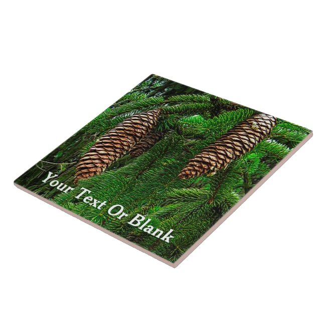 Cones E Agulhas (Lateral)