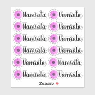 Conjunto de 12 Adesivos de Nome Personalizados Dai