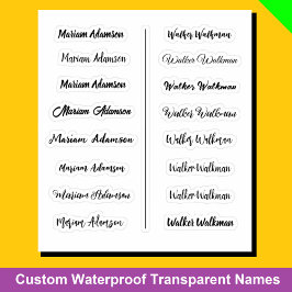 (Conjunto de 16) Adesivos de Nome Simples Transpar