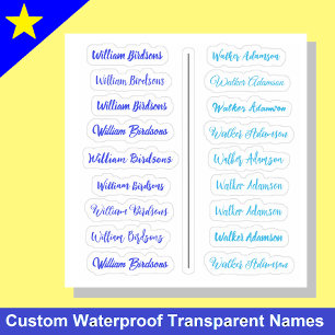 (Conjunto de 18) Adesivos de Nome Simples Transpar