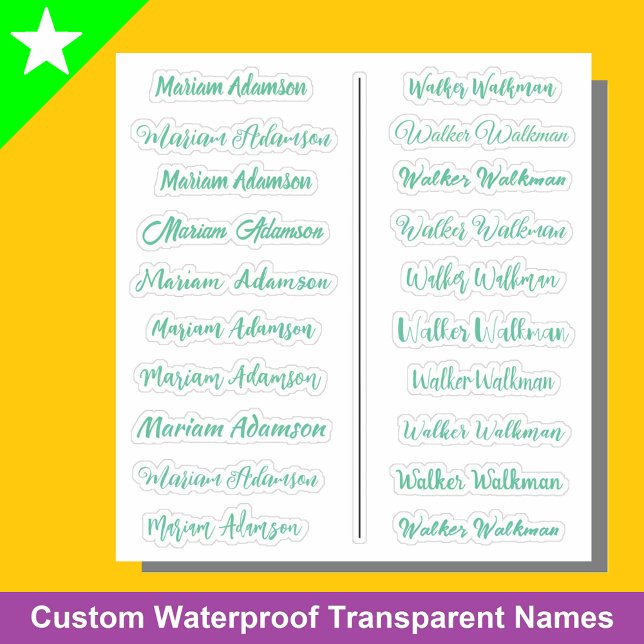 (Conjunto de 20) Adesivos de Nome Transparentes Co (Mint green name stickers
)