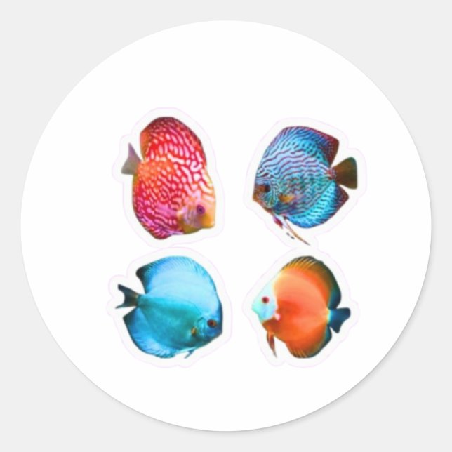Conjunto de 4 Adesivos de Peixes Disco Vibrantes - (Frente)