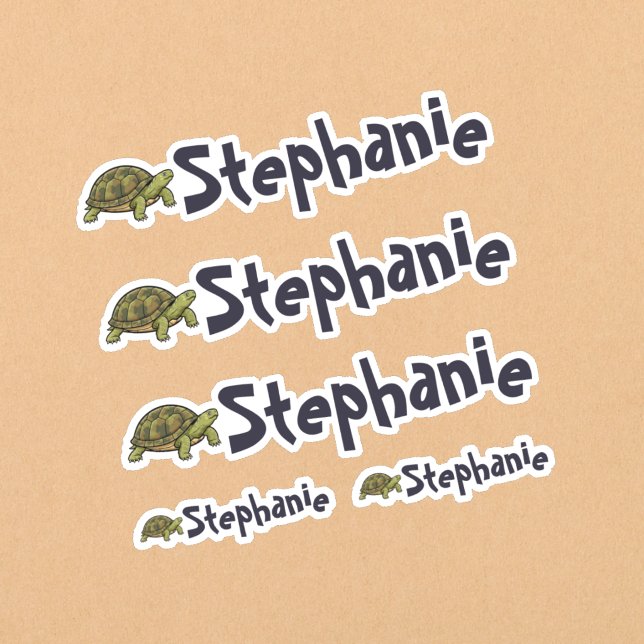 Conjunto de 5 Adesivos de Nome de Tartaruga Fofa (Set of five turtle name stickers.)