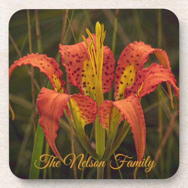 Conjunto de 6 porta-copos "Florida Lily" (Frente)