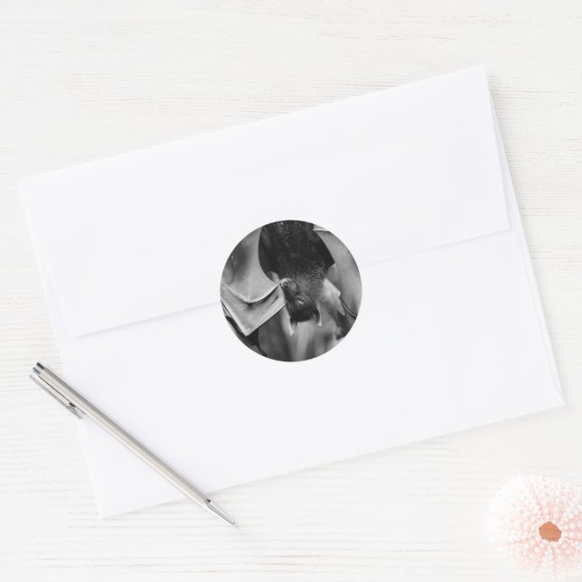 Conjunto de Adesivos Bat Wings Bat (Envelope)