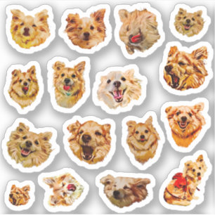 Conjunto de Adesivos Cães