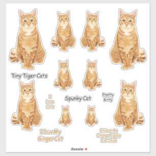 Conjunto de Adesivos Cat Lg Tabby Laranja