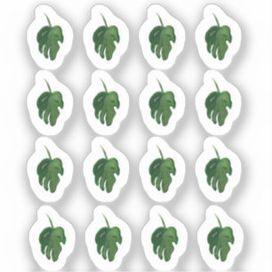Conjunto de Adesivos de Folha de Monstera Aquarela