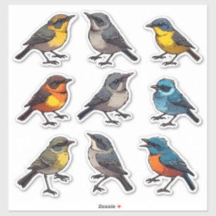 Conjunto de Adesivos de Pássaros Cantores Colorido