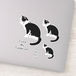 Conjunto de adesivos para gatos de smoking preto e
