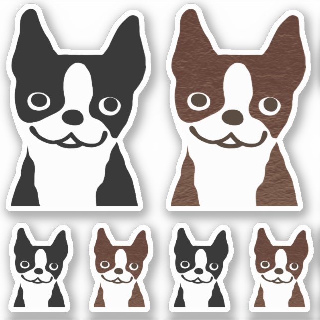 Conjunto de adesivos Terrier Dogs de Boston Black  (Frente)