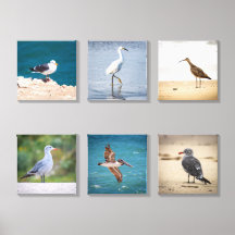 Conjunto de Arte para Parede em Tela de Aves Coste