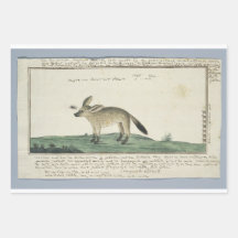 Conjunto de Folhas Planas de Papel de Encapsulamen