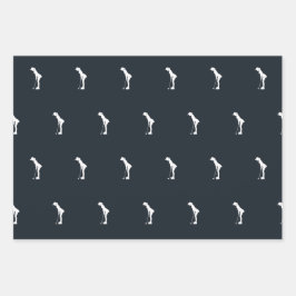 Conjunto de Folhas Planas de Papel de Encapsulamen