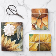 Conjunto de Folhas Planas de Papel de Encapsulamen