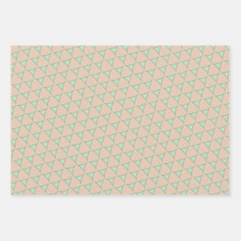 Conjunto de Folhas Planas de Papel de Enrolamento 