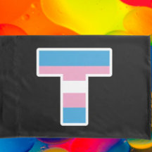"Conjunto de fronhas Capital T Orgulho Trans"