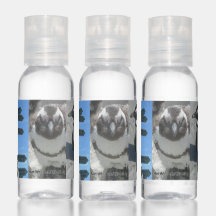 Conjunto de Garrafas de Viagem de Pinguins Sul-Afr