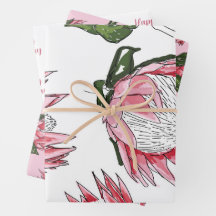 Conjunto de papel para moldagem por aquarela de pr