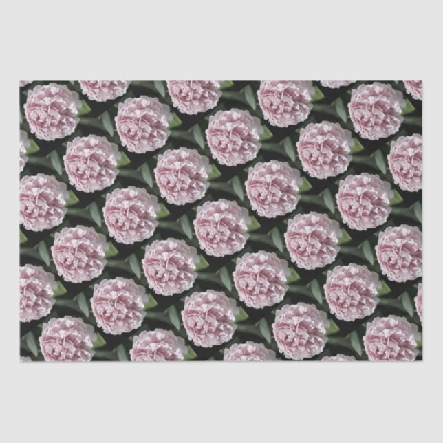 Conjunto de Papel Tecido 2 Folhas Lindas Penas Ros (Frente )