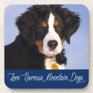 Conjunto de Porta-Copos de Cachorro Bernês de Mont
