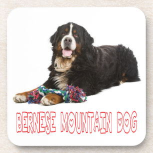 Conjunto de Porta-Copos de Cachorro Bernese Mounta