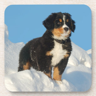 Conjunto de Porta-Copos de Cachorro da Montanha Be