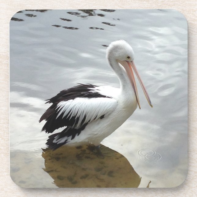 Conjunto de Porta-copos Pretty Pelican (Frente)
