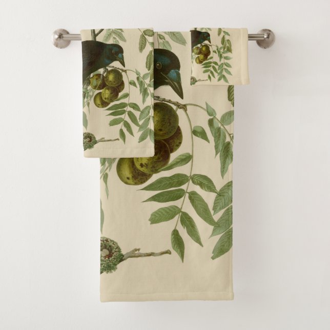 Conjunto De Toalhas Ave Negra Americana da Audubon (Insitu)
