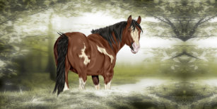 Presentes Pintura Do Cavalo Baia De Zazzle Com Br
