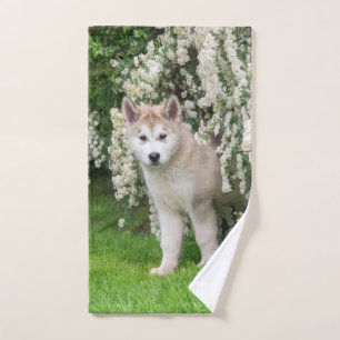 Conjunto De Toalhas Cachorro Malamute do Alasca em Flores Foto -