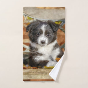 Conjunto De Toalhas Cachorro Mini Aussie Shepherd Cachorro Bi-Color Pu