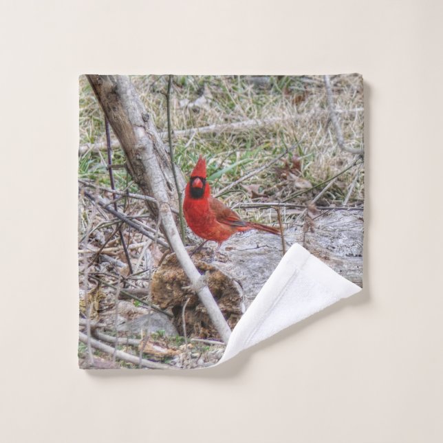 Conjunto De Toalhas Cardinal Vibrante (Pano de lavar)