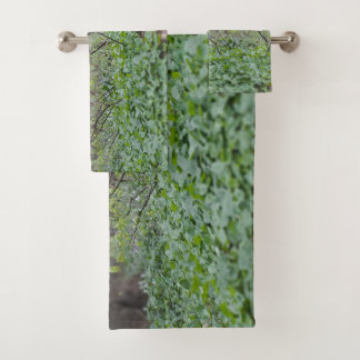 Conjunto De Toalhas Chão da Floresta dos Cárpatos Romênia Fotografia d