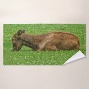 Conjunto De Toalhas Dormir Pequeno