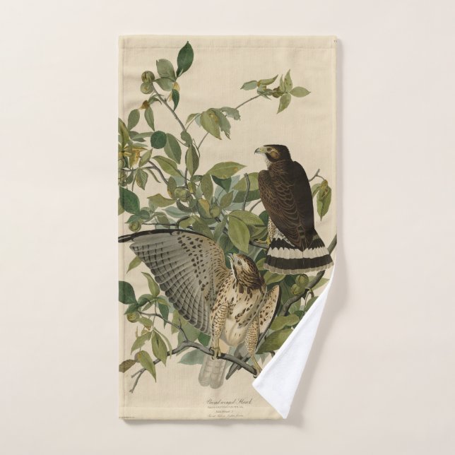 Conjunto De Toalhas Falcão de asa larga das Aves da América de Audubon (Toalha de mão)