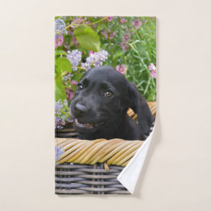 Conjunto De Toalhas Foto de Pet Pet, Cão-de-Cão-de-Cachorro Preto
