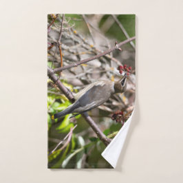 Conjunto De Toalhas Fotografia de aves, Waxwing Boêmian