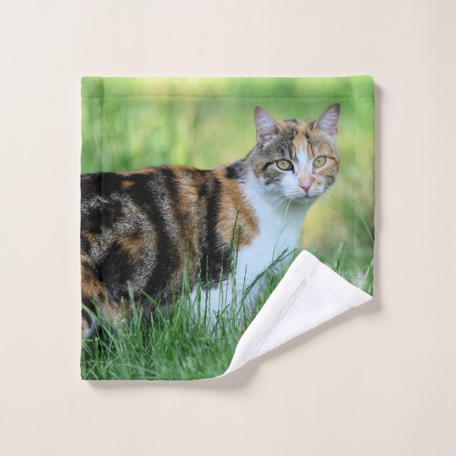 Conjunto De Toalhas Gato marrom e branco (Pano de lavar)