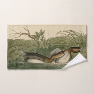 Conjunto De Toalhas Grebe de bico-torto das Aves da América de Audubon