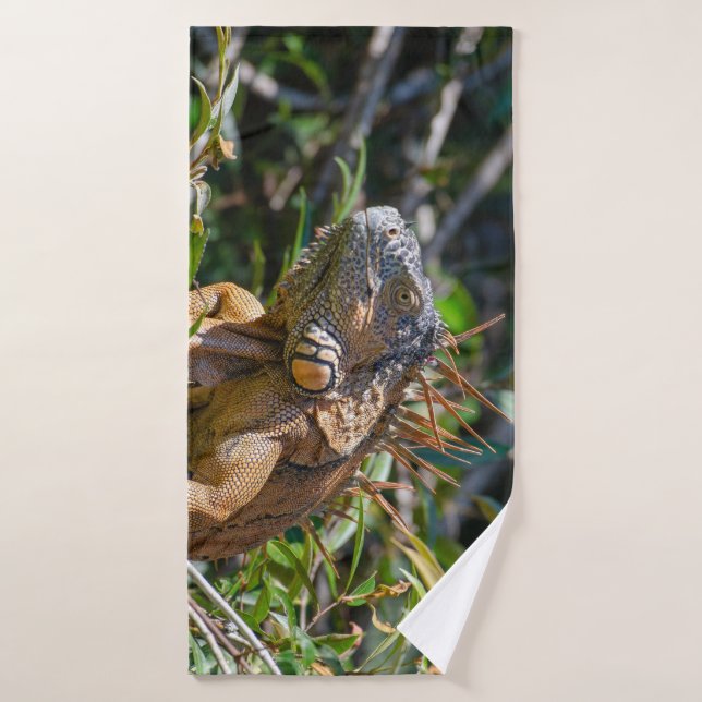 Conjunto De Toalhas Iguana Laranja, Fotografia Belize (Toalha de Banho)