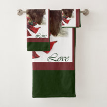 Inglês Springer Spaniel Natal