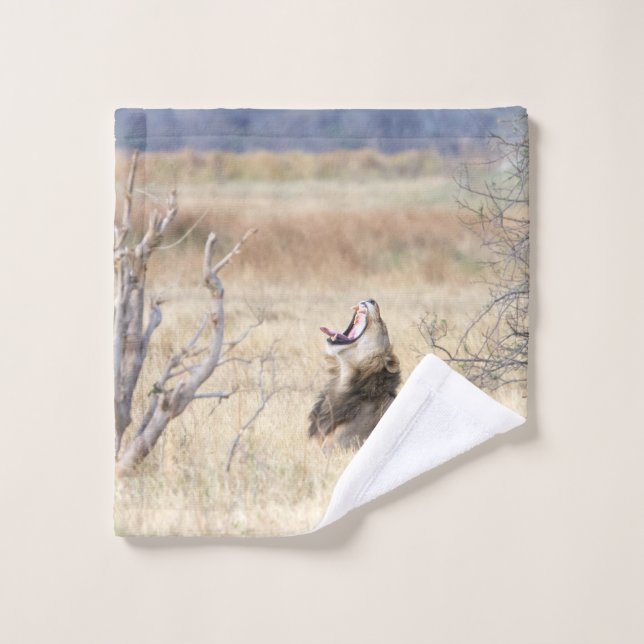 Conjunto De Toalhas Leão de bocejo (Pano de lavar)