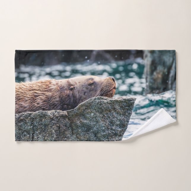 Conjunto De Toalhas Leão-Do-Mar Na Baía De Ressurreição, Alasca (Toalha de mão)