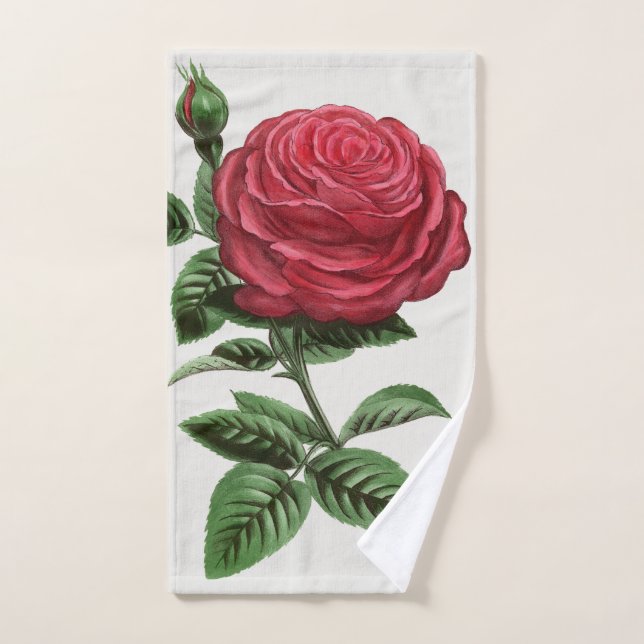 Conjunto De Toalhas Litografia de Rosa Antiga, François-Frédéric Grobo (Toalha de mão)