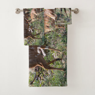 Conjunto De Toalhas Nyala Antelope African Wildlife Photo